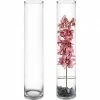 CYS Excel Tall Clear Glass Cylinder Vase (H:28" D:5") Pack Of 1