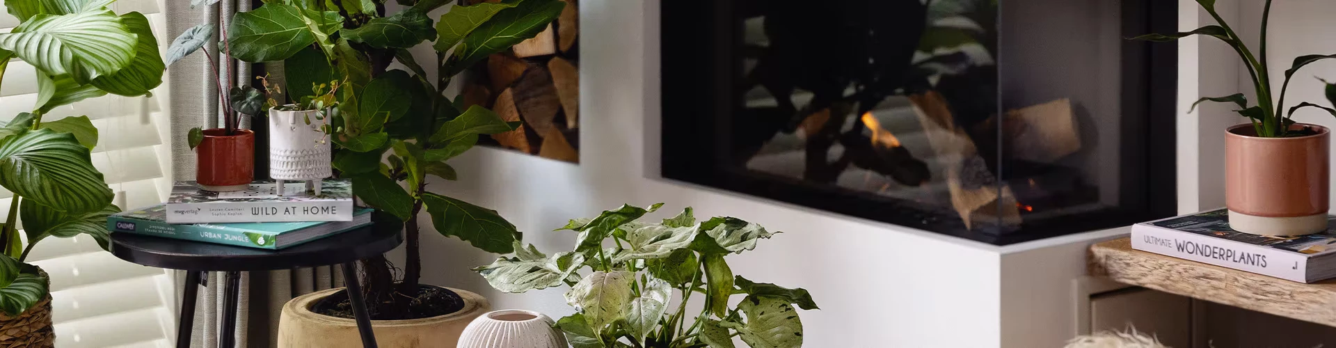 Glass Vases Boutique de vente -Glass Vases Boutique de vente banner boeken