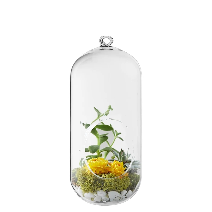 Glass Hanging Capsule Terrarium Candle Holder, H-9.5", 12" W-4.25" (Wholesale 12 Or 18 PCS/Case) 4 Glass Hanging Capsule Terrarium Candle Holder, H-9.5", 12" W-4.25" (Wholesale 12 Or 18 PCS/Case) – Image 4