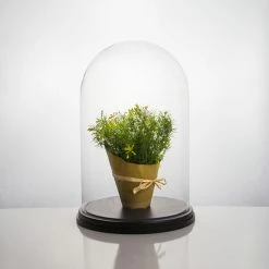 16" Decorative Glass Dome Cloche Plant Terrarium Bell Jars With Wood Base -Glass Vases Boutique de vente cloche dome gdo102wb lifestyle 800