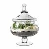 Glass Candy Buffet Apothecary Jar, H-15" D-7" (Wholesale 4 PCS/Case)
