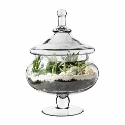 Glass Candy Buffet Apothecary Jar, H-15" D-7" (Wholesale 4 PCS/Case)