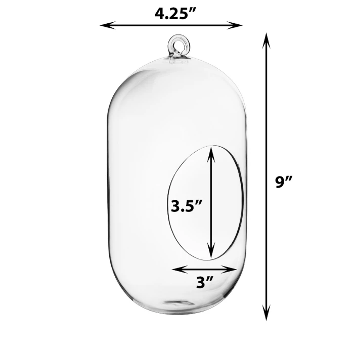 Glass Hanging Capsule Terrarium Candle Holder, H-9.5", 12" W-4.25" (Wholesale 12 Or 18 PCS/Case) 2 Glass Hanging Capsule Terrarium Candle Holder, H-9.5", 12" W-4.25" (Wholesale 12 Or 18 PCS/Case) – Image 2