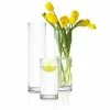 CYS Excel Glass Cylinder Vase H-16", 14", 9", D-4" Centerpieces Hurricane Candle Holder Pillar Floating Wedding Decorative Table Tall Clear Flower Set Pack Of 1