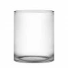 CYS Excel Wide Clear Glass Cylinder Vase (H:12" D:10") Pack Of 1
