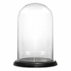 16" Decorative Glass Dome Cloche Plant Terrarium Bell Jars With Wood Base