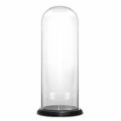 Glass Cloche Display Dome With Black Wood Base, H-22" D-10" (Wholesale 2 PCS/Case)