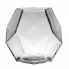 CYS Excel Geometric Glass Terrarium Bowl. H-7" Hexagon Prism (Free Shipping) Pack Of 1