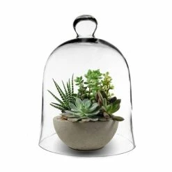 Glass Bell Dome Cloche, H-16" D-12" (Wholesale 2 PCS/Case) -Glass Vases Boutique de vente glass cloche bell terrarium with tray gcl101 16 2