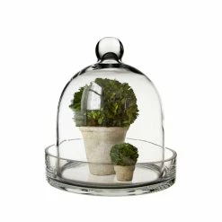 Glass Bell Dome Cloche With Glass Tray Base, H-8" D-7" (Wholesale 4 PCS/Case) -Glass Vases Boutique de vente glass cloche bell terrarium with tray gcl110 08 1