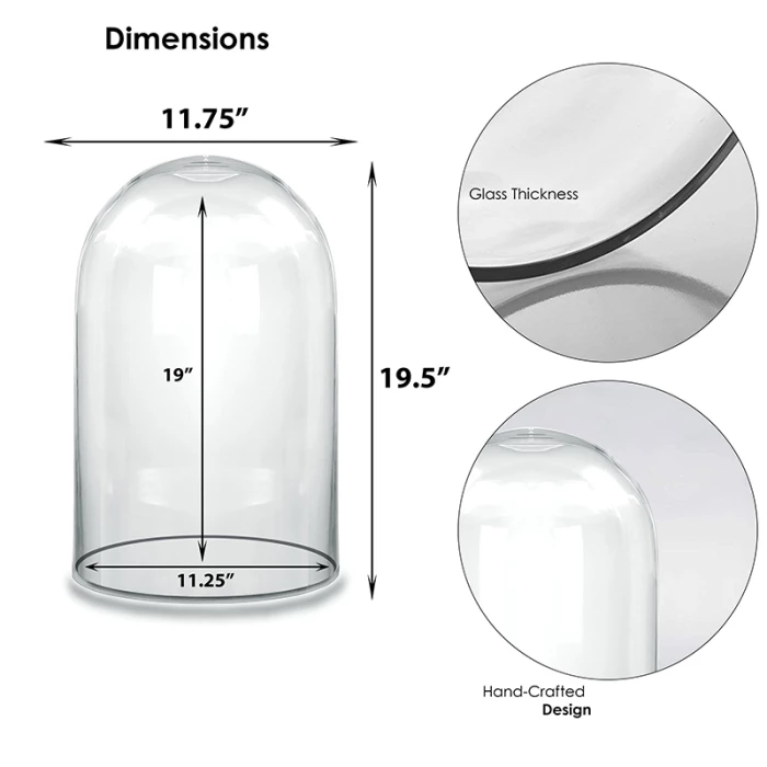 Glass Cloche Display Dome, H-19.5" D-11.75" (Wholesale 2 PCS/Case) 2 Glass Cloche Display Dome, H-19.5" D-11.75" (Wholesale 2 PCS/Case) – Image 2