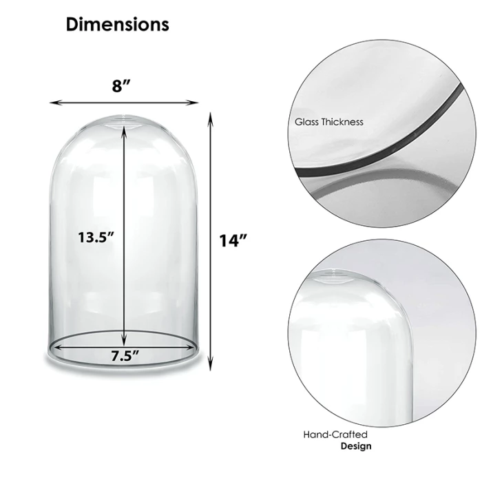 Glass Cloche Display Dome, H-14" D-8" (Wholesale 4 PCS/Case) 2 Glass Cloche Display Dome, H-14" D-8" (Wholesale 4 PCS/Case) – Image 2