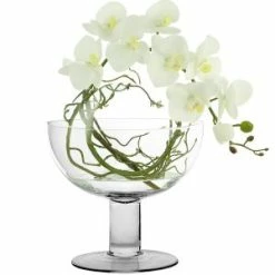 CYS Excel Glass Fruit Bowl. H-8", D-9" Footed Pedestal Kitchen Terrarium Pack Of 1