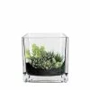 CYS Excel Glass Cube Vase. H-4" Open-4" (Multiple Packing) - Free Shipping Pack Of 1