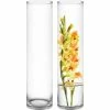 CYS Excel Tall Clear Glass Cylinder Vase (H:26" D:6") Pack Of 1