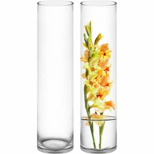 CYS Excel Tall Clear Glass Cylinder Vase (H:26" D:6") Pack Of 1 1 CYS Excel Tall Clear Glass Cylinder Vase (H:26" D:6") Pack Of 1