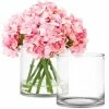 CYS Excel Clear Glass Cylinder Vase (H:8" D:8") Pack Of 1