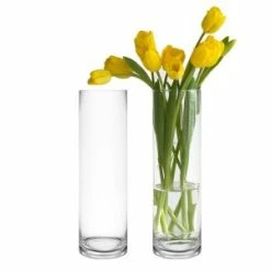 CYS Excel Clear Glass Cylinder Vase (H:16" D:4") Pack Of 1