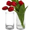 CYS Excel Glass Cylinder Vase (H:10" D:5") Wedding Centerpieces (Free Shipping) Pack Of 1