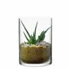 CYS Excel Clear Glass Cylinder Vase (H:8" D:6") Pack Of 1