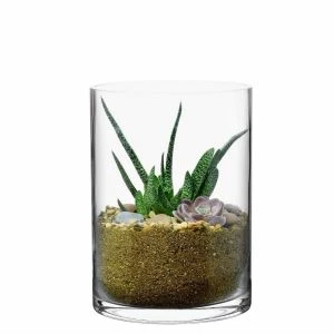 CYS Excel Clear Glass Cylinder Vase (H:8" D:6") Pack Of 1 1 CYS Excel Clear Glass Cylinder Vase (H:8" D:6") Pack Of 1