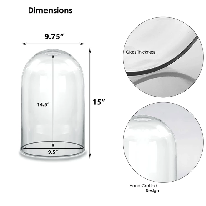 Glass Cloche Display Dome, H-15" D-9.75" (Wholesale 2 PCS/Case) 2 Glass Cloche Display Dome, H-15" D-9.75" (Wholesale 2 PCS/Case) – Image 2