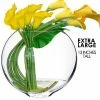 CYS Excel 13" Moon Shaped Oval Flat Display Bowl Vase (Free Shipping) Pack Of 1