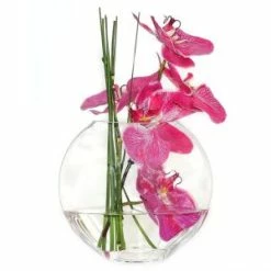 CYS Excel 7.5" Moon Shaped Oval Flat Display Bowl Vase (Free Shipping) Pack Of 1