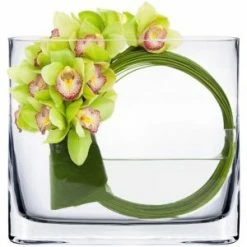 CYS Excel Rectangular Glass Vases 6" Oval Rounded Edge Slender (Free Shipping) Pack Of 1