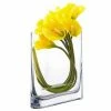 CYS Excel Rectangular Glass Vases 8" Oval Rounded Edge Slender (Free Shipping) Pack Of 1