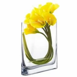 CYS Excel Rectangular Glass Vases 8" Oval Rounded Edge Slender (Free Shipping) Pack Of 1