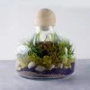 Glass Terrarium Vase With Wood Ball Stopper, H-12" D-10.5" (Wholesale 4 PCS/Case)