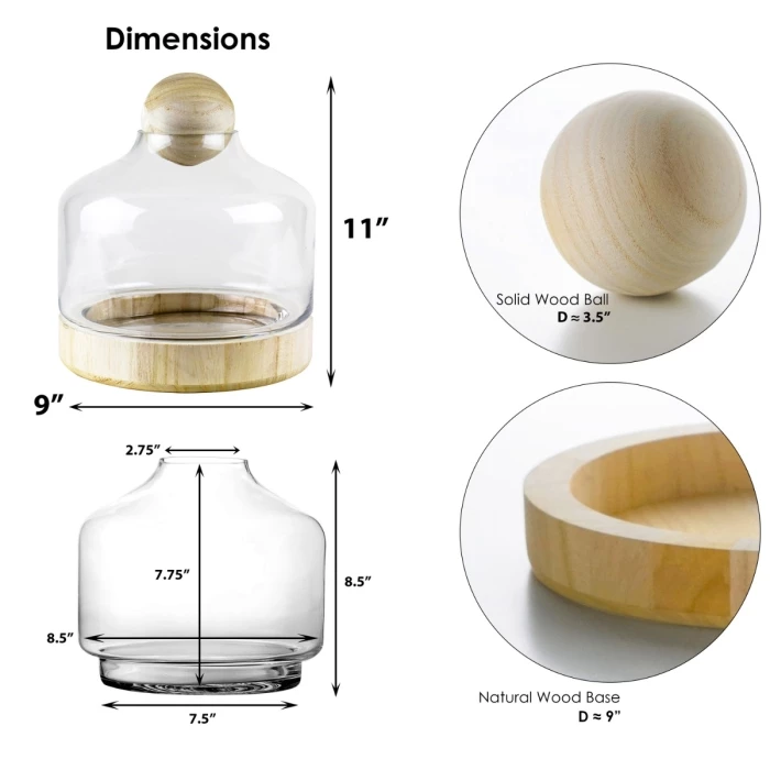 Glass Terrarium Vase With Wood Base And Stopper, H-11.5" D-9" (Wholesale 4 PCS/Case) 2 Glass Terrarium Vase With Wood Base And Stopper, H-11.5" D-9" (Wholesale 4 PCS/Case) – Image 2