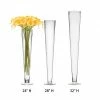 CYS Excel Glass Trumpet Vase. H-24" - 32" Wedding Centerpiece (Free Shipping) Pack Of 1