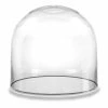 Glass Cloche Display Dome, H-6" D-6" (Wholesale 8 PCS/Case)