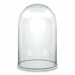 Glass Cloche Display Dome, H-14" D-8" (Wholesale 4 PCS/Case)