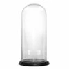 Glass Cloche Display Dome With Black Wood Base, H-20" D-11" (Wholesale 2 PCS/Case)
