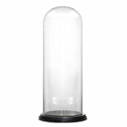 Glass Cloche Display Dome With Black Wood Base, H-28.5" D-13" (Wholesale 2 PCS/Case)