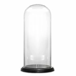 Glass Cloche Display Dome With Black Wood Base, H-15" D-7" (Wholesale 4 PCS/Case)