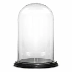 Glass Cloche Display Dome With Black Wood Base, H-15" D-10" (Wholesale 4 PCS/Case)