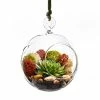 Glass Hanging Orb Plant Terrarium Tealight Candle Holder, H-4.5" D-4" (Wholesale 48 PCS/Case)