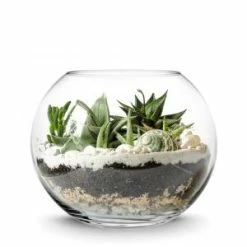 CYS Excel Clear Glass Bubble Bowl (H:7.5" W:10")(Approx. 2 Gal) Pack Of 1