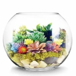 CYS Excel Clear Glass Bubble Bowl (H:10.5" W:4")(Approx. 5 Gal) Pack Of 1