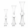 CYS Excel Reversible Clarinet Glass Trumpet Vases, Multiple Sizes (Free Shipping) Pack Of 1