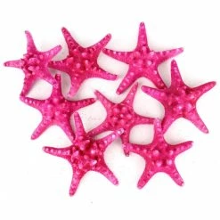 Fuchsia Pink Knobby Textured Starfish, 5"-7" (Wholesale 48 PCS/Case)