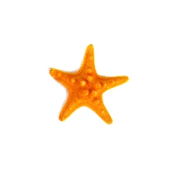 Sunset Orange Knobby Textured Starfish, 5"-7" (Wholesale 48 PCS/Case) -Glass Vases Boutique de vente vfsf01 05or