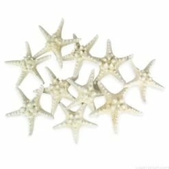 White Knobby Textured Starfish, 5"-7" (Wholesale 48 PCS/Case) -Glass Vases Boutique de vente vfsf01 05wt