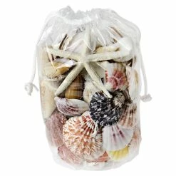 19.2 Lbs Mixed Sea Shells With Bleached Finger Starfish (Approximately 1260 Pcs) -Glass Vases Boutique de vente vfss2001 00 1