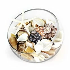 19.2 Lbs Mixed Sea Shells With Bleached Finger Starfish (Approximately 1260 Pcs) -Glass Vases Boutique de vente vfss2001 00 3