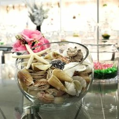 19.2 Lbs Mixed Sea Shells With Bleached Finger Starfish (Approximately 1260 Pcs) -Glass Vases Boutique de vente vfss2001 00 4